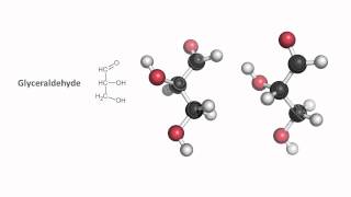 Monosaccharides and stereochemistry [upl. by Monafo29]