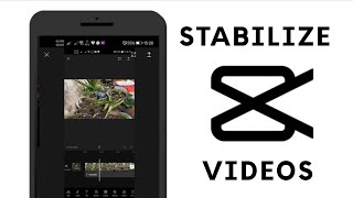 How to Stabilize Videos in CapCut  How to Edit Videos in Capcut Tutorial [upl. by Henrion]