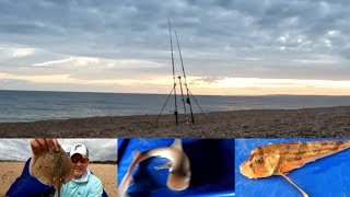 Fishing at Cogden Chesil Beach day 3  4924 [upl. by Cuthbert668]