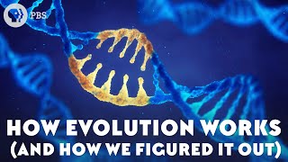 How Evolution Works And How We Figured It Out [upl. by Laney]