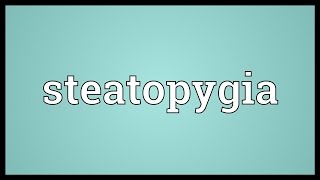 Steatopygia Meaning [upl. by Bartholomew241]