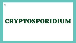 Cryptosporidium  Morphology Life Cycle Cryptosporidiosis lab Diagnosis Treatment  MedZukhruf [upl. by Riem994]