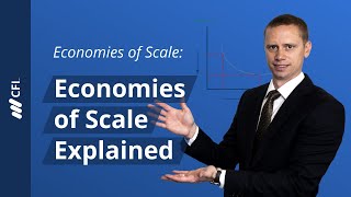 Economies of Scale Explained [upl. by Ahsemik]