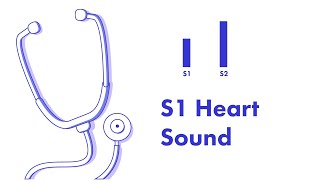 S1 Heart Sound  Learn How to Auscultate Part 8 [upl. by Mohandis174]