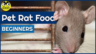 Pet Rat Food  What do Rats eat Guide for Beginners [upl. by Naiva774]