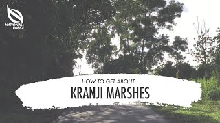 Kranji Marshes  How To Get About [upl. by Hassett]