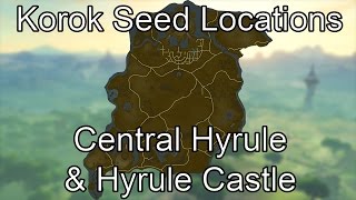 Breath of the Wild Korok Seed Guide  Central Hyrule amp Hyrule Castle [upl. by Anyahs]