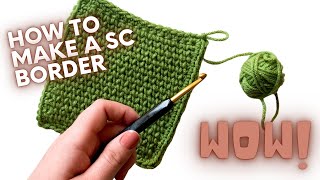 How To Single Crochet a Blanket Border  PERFECT FOR BEGINNERS [upl. by Dnesnwot477]