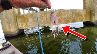 SIMPLE Way To Catch TONS Of Catfish [upl. by Boarer]