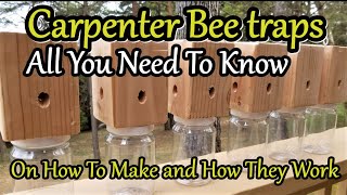 CARPENTER BEE TRAPS How to make them and How they work ALL YOU NEED TO KNOW [upl. by Gessner54]