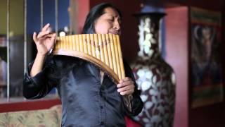 Hallelujah on Panflute  Aleluya by Edgar Muenala  Official Music Video [upl. by Phelan]