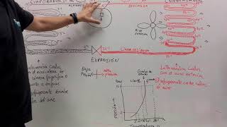 Explicación del circuito frigorífico [upl. by Hardunn]