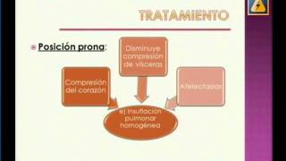 TAQUIPNEA TRANSITORIA DEL RECIEN NACIDO [upl. by Ilocin988]