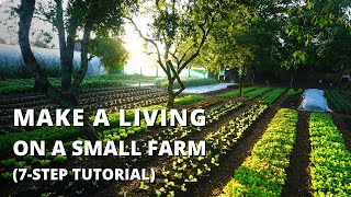 How to Start a Farm From Scratch Beginners Guide to Growing Vegetables for Profit [upl. by Lleznov]