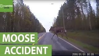 Dash cam footage captures tense moose accident [upl. by Haila]