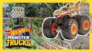 PARTIDO DE EXHIBICIÓN MONSTER TRUCKS VS AUTOS HOT WHEELS 💥🚗 Monster Trucks  HotWheelsEspanol [upl. by Holzman]