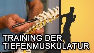 Training der Tiefenmuskulatur für einen starken Rücken [upl. by Peter970]