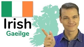 The Irish Language Gaelic [upl. by Annovahs586]