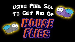 DIY  Using Pine Sol to Get Rid of House Flies [upl. by Nnyliram]