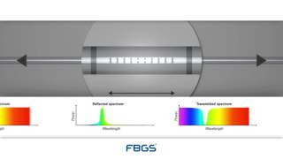 FBG Sensor Principle [upl. by Nnaycart]