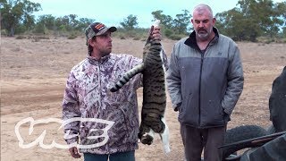 Shooting Cats Australias War on Feral Cats [upl. by Marti277]