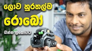 THE WORLDS CUTEST ROBOT  Sri Lanka 🇱🇰 [upl. by Rot162]