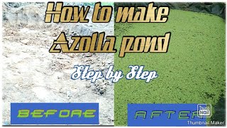 How to make Azolla Pond ll Step by step [upl. by Aimo]