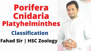 02 Porifera  Cnidaria  Platyhelminthes  HSC Zoology Chapter 1  Major Phylum part 1 [upl. by Hsirk]