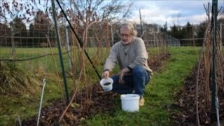 Le Potager du Paresseux  produire et utiliser des cendres [upl. by Maggi256]