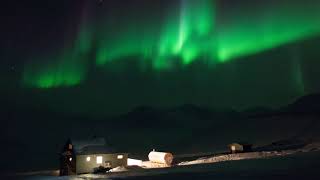 Dog sledding under the Northern Lights [upl. by Myrlene]