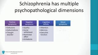 1 Schizophrenia psychopathology [upl. by Coleman]