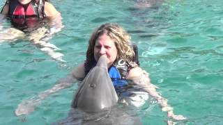 Blue Lagoon Bahamas Dolphin Swim June 2015 [upl. by Vas]