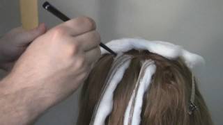 Balayage Hair Color Technique Demo for Highlights [upl. by Tibbs29]