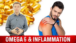 Omega3 and Omega6 Fatty Acids Food Sources and Inflammation [upl. by Enihsnus990]