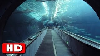 The Chunnel  Worlds Longest Underwater Tunnel  History Channel HD [upl. by Ydualc251]