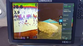 Lowrance 3d Structure Scan [upl. by Loredana]