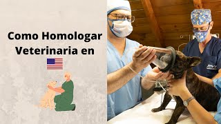 Como Homologar Veterinaria en Estados Unidos [upl. by Aubin]