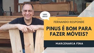 Pinus é uma madeira boa para móveis Fernando responde [upl. by Ahsinom]