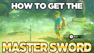 How To Get The Master Sword in Breath of the Wild  Austin John Plays [upl. by Noli]