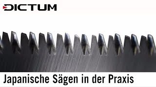 Japansägen in der Praxis  Arbeiten mit Zugsägen aktualisiert 2019 [upl. by Aven277]