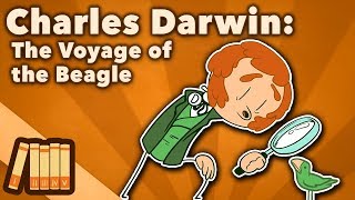 Charles Darwin  The Voyage of the Beagle  Extra History [upl. by Haidabo391]