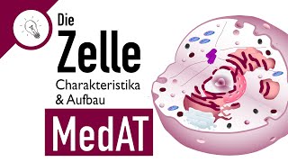 Die Zelle  Aufbau amp Charakteristika  MedAT  Biologie [upl. by Marji560]