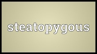 Steatopygous Meaning [upl. by Dloniger]