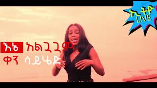 Rahel Getu  Alguaguam  አልጓጓም  New Ethiopian Music 2019 Official Video lyrics HD [upl. by Notneuq]