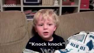 3yearold tells terrible knockknock jokes [upl. by Ellett]