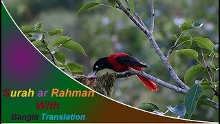 Surah ar Rahman full  মন জুড়ানো সুরে সূরা আর রহমান আরবিবাংলা [upl. by Cagle]