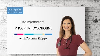 The Importance of Phosphatidylcholine [upl. by Grane200]