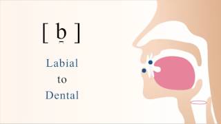 ⱱ  f̆  v̆  voiced labiodental tap [upl. by Ayle]