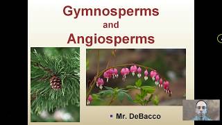 Gymnosperms and Angiosperms [upl. by Ylrad]