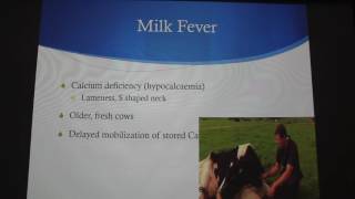 Mastitis Milk Fever and Ketosis in Dairy Cattle [upl. by Enairda155]